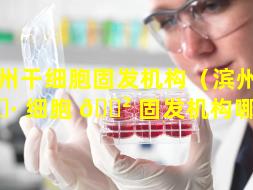 滨州干细胞固发机构（滨州干 🌷 细胞 🌲 固发机构哪家好）